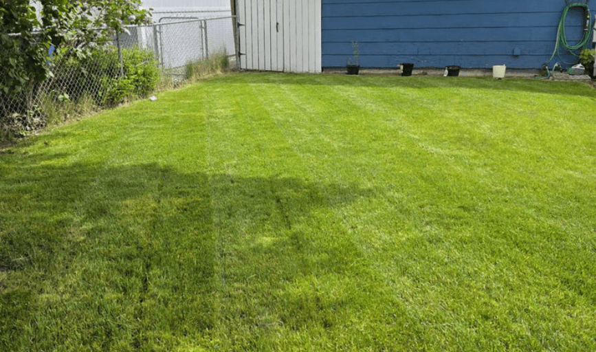 LAWN MOWING